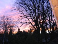 Sonnenuntergang von der Loggia gesehen - Bild 22: XXL-Apartment - Große sonnige Ferienwohnung Berlin Gatow 70m²
