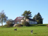 Bild 1: Landhaus Bodensee in Panormasichtlage Hunde sind herzlich willkommen. WOHNUNG 1