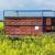Galeriebild 1