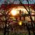 Galeriebild 1
