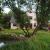 Galeriebild 1