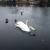 Galeriebild 1