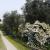 Galeriebild 1