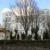 Galeriebild 1