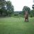 Galeriebild 1
